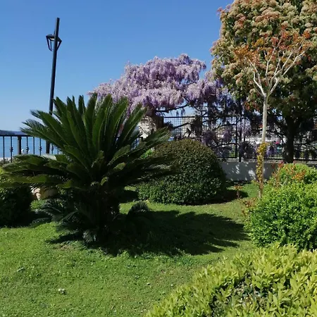 Apartments Amor Apartman *