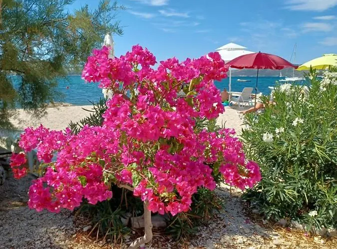 Apartments Amor Apartment