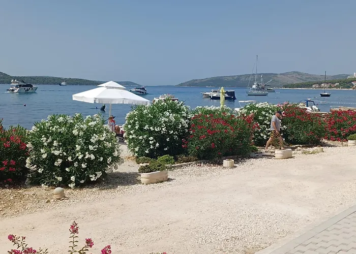 Apartment Apartments Amor