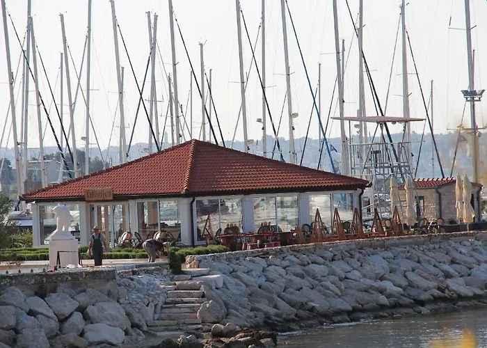 Apartment Apartments Amor