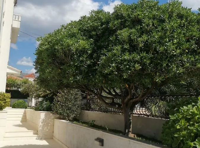 Apartment Apartments Amor *