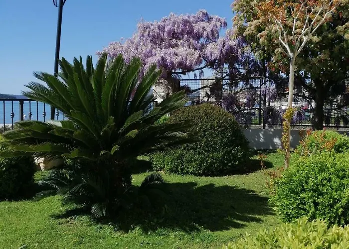 Apartments Amor Appartement *