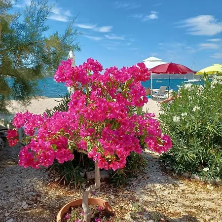 阿莫尔公寓式酒店 公寓